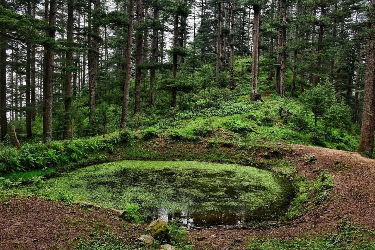 Ishan Log Huts-A Boutique Home Stay Banjār Esterno foto