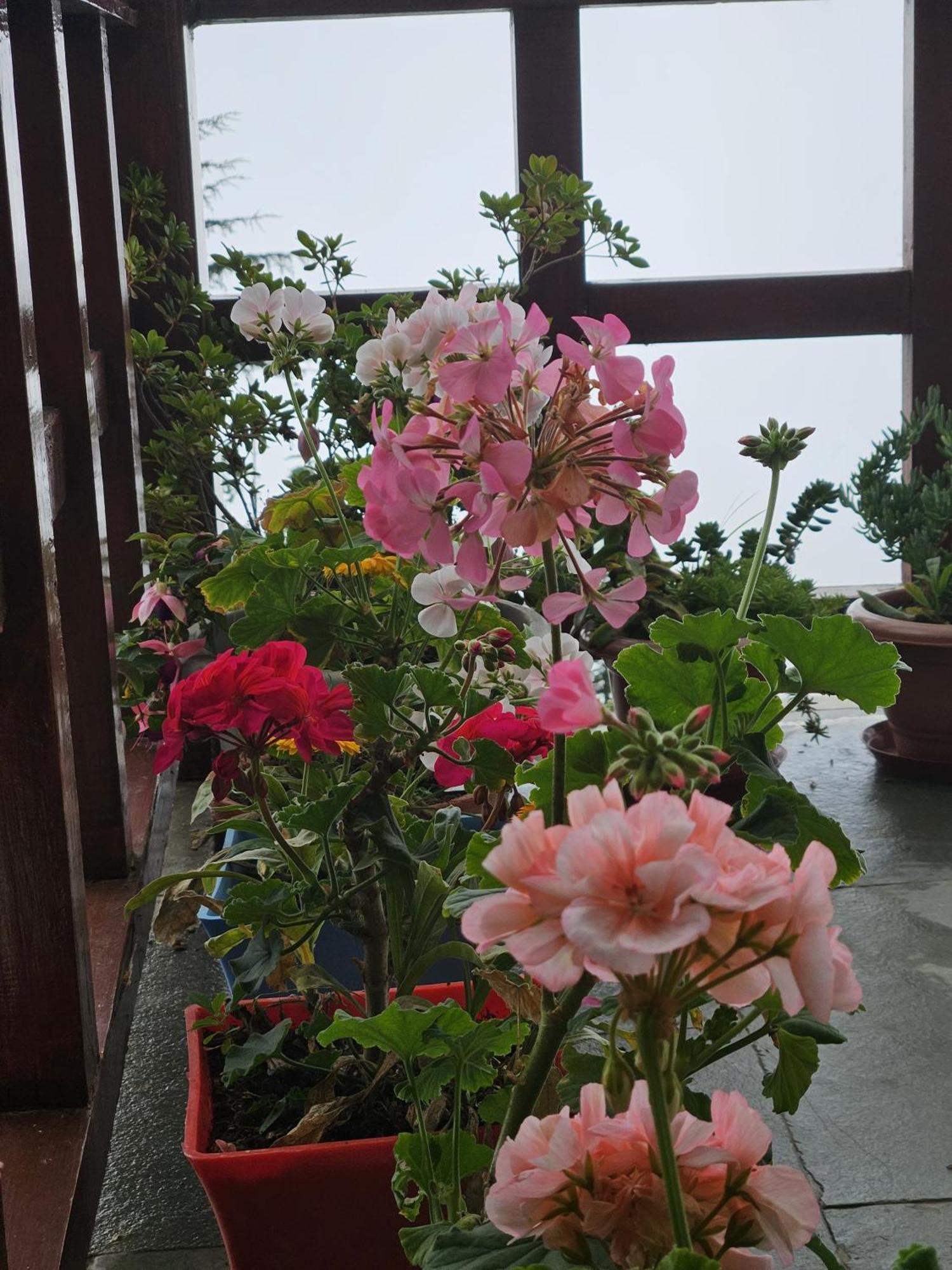 Ishan Log Huts-A Boutique Home Stay Banjār Esterno foto